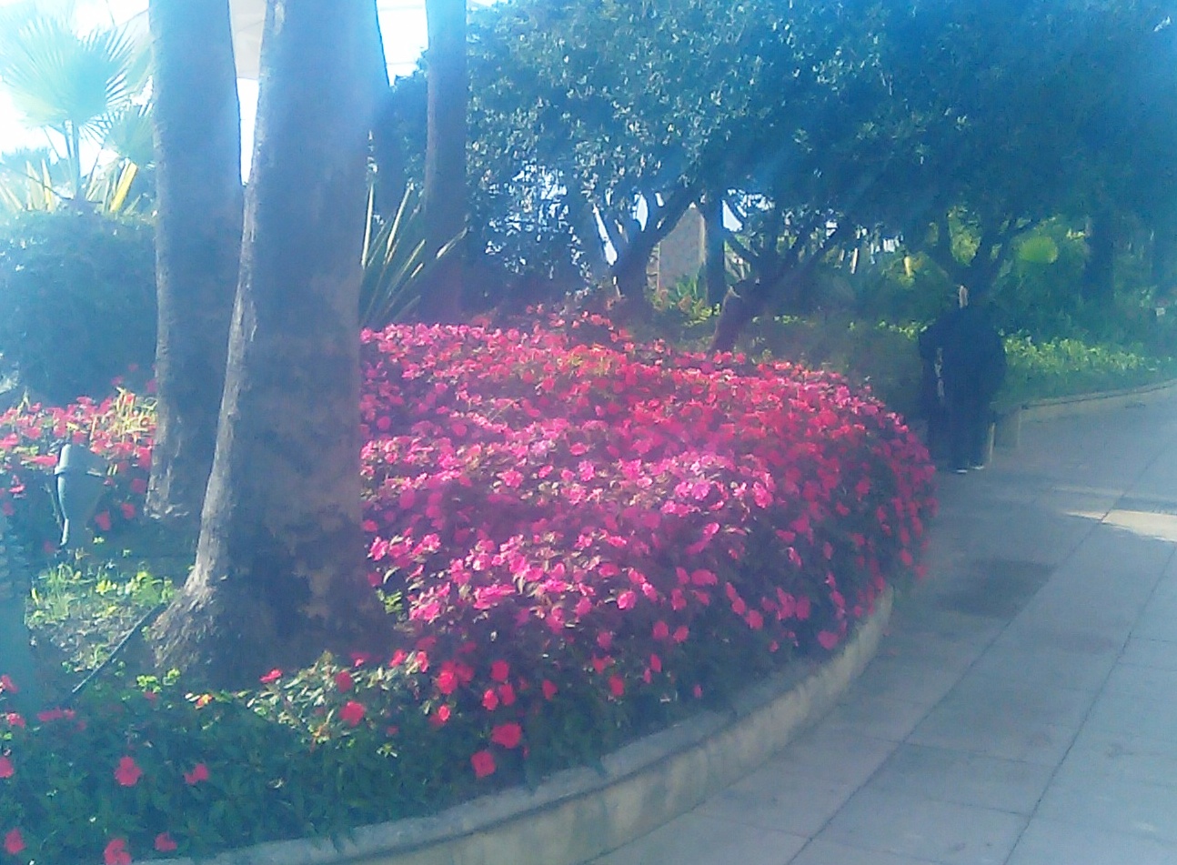 Estepona