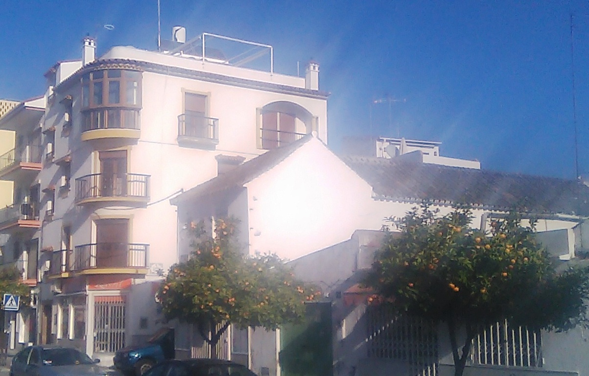 Estepona