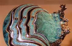 exposition alain cantarel