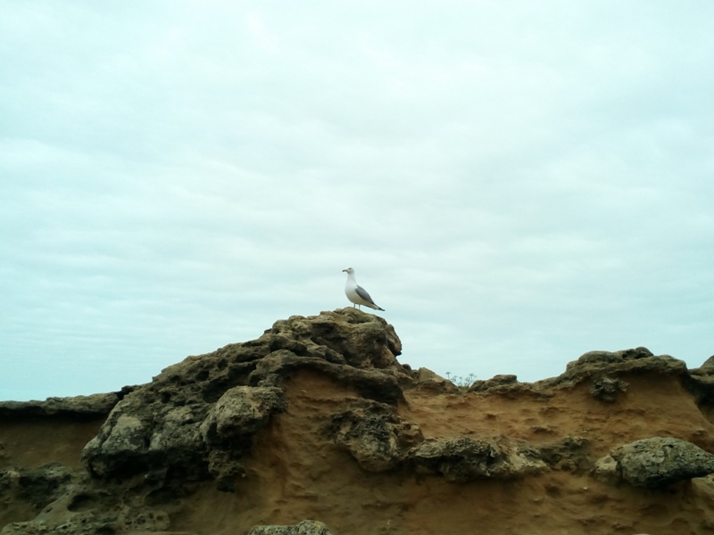 Biarritz