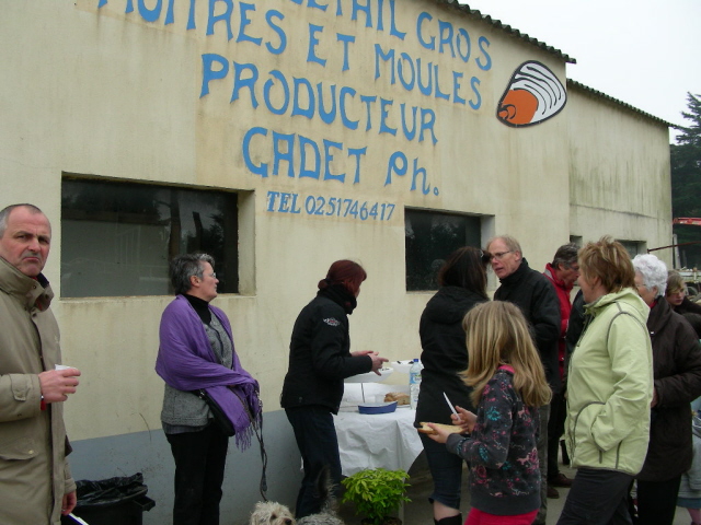 degustation d'huitres