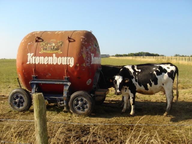 lait alsacien
