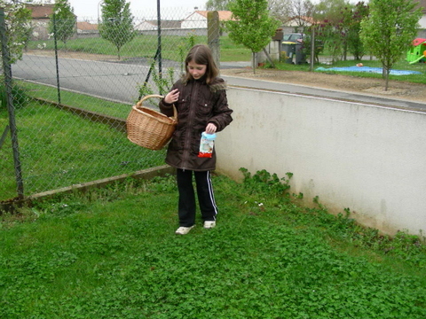 Cline et Flora
