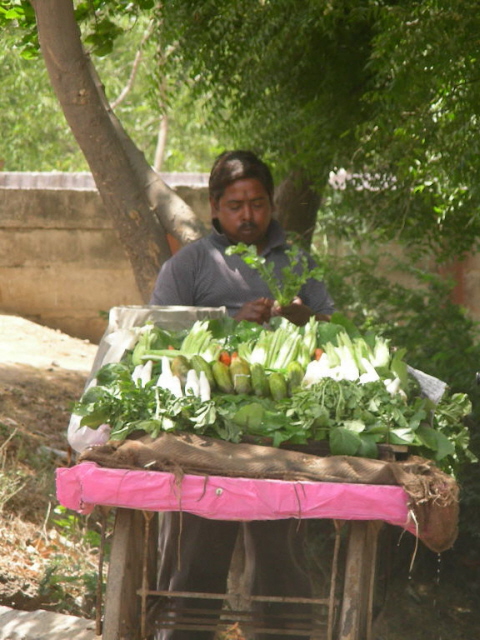 indiens