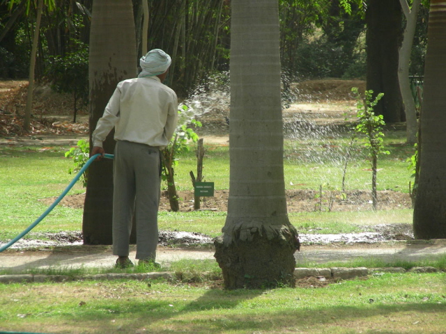 lodi garden