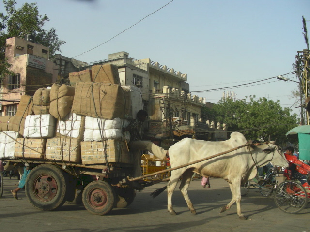 old delhi