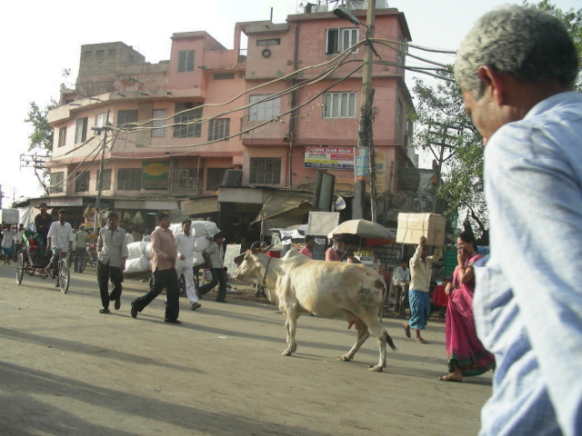 old delhi