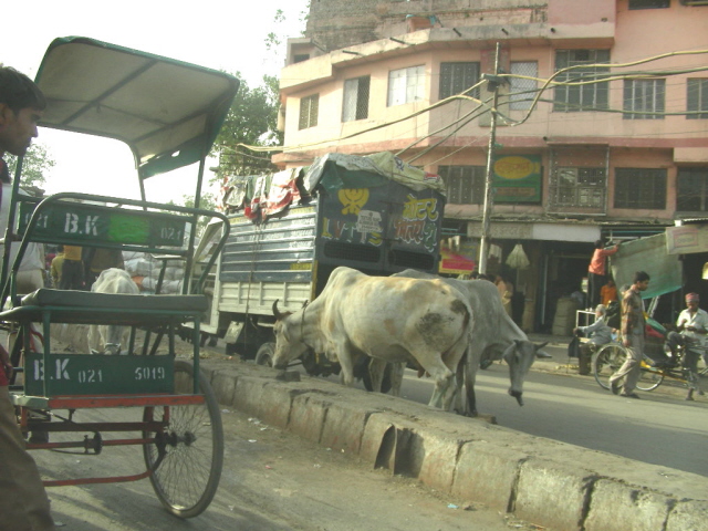 old delhi