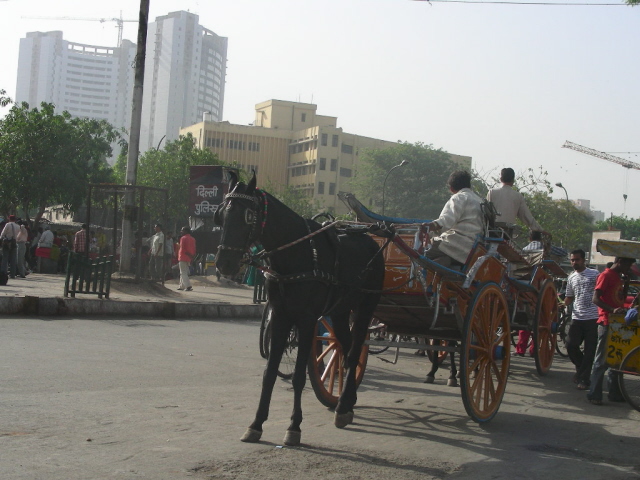 old delhi