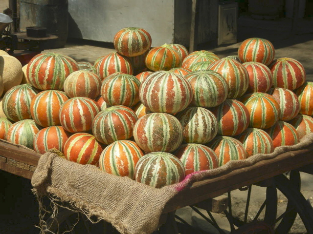 old delhi