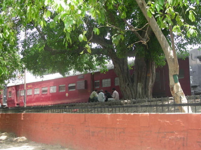 old delhi