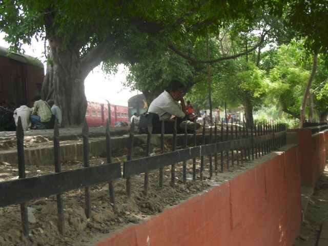 old delhi