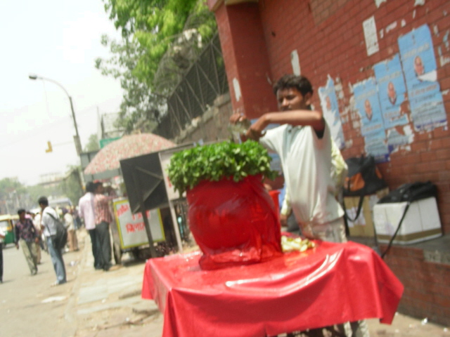 old delhi