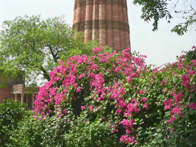 Qutab Minar a Delhi