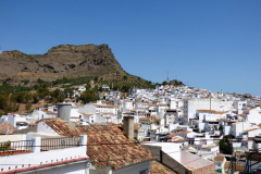 Alora