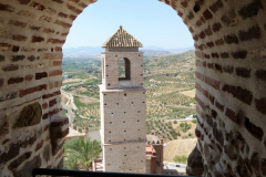 Alora