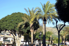 Mijas Pueblo (32)